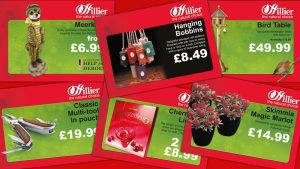 Hillier Seasonal Point of Sale